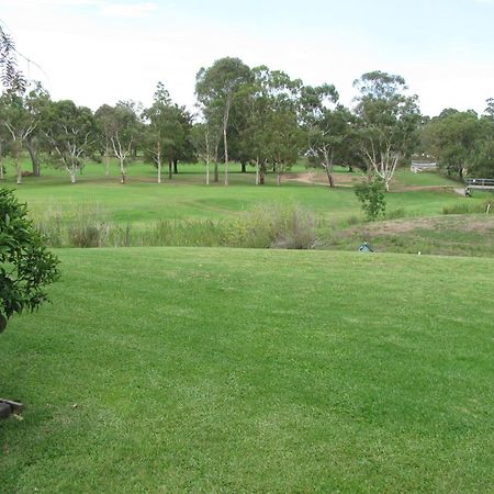 The Wayfarer Motel Muswellbrook Exterior photo