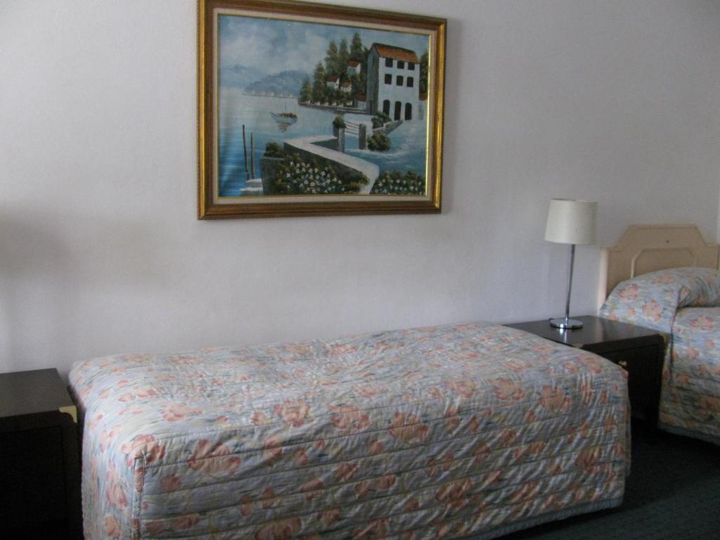 The Wayfarer Motel Muswellbrook Room photo