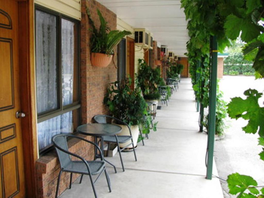 The Wayfarer Motel Muswellbrook Room photo