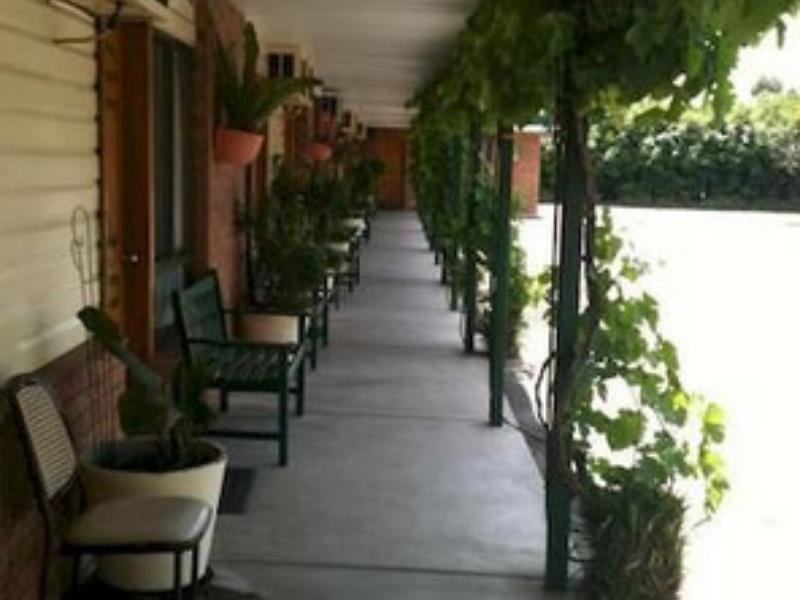 The Wayfarer Motel Muswellbrook Exterior photo